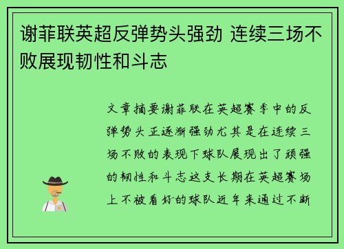 谢菲联英超反弹势头强劲 连续三场不败展现韧性和斗志 谢菲联英超反弹势头强劲 连续三场不败展现韧性和斗志